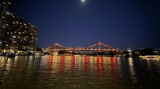 The Brown Snake and I