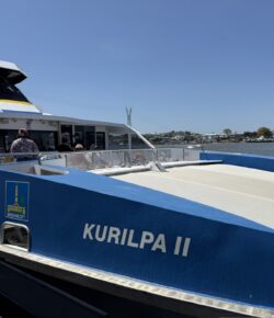 Between the Big Blue Sky and the Brown River