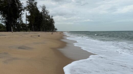 The Road Ends, the Sea Begins: Notes from Sayalgudi