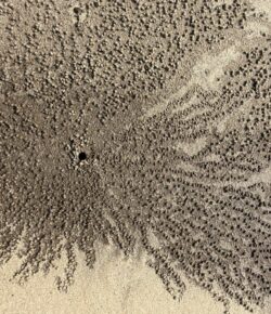 The Man Who Planned His Own Ending