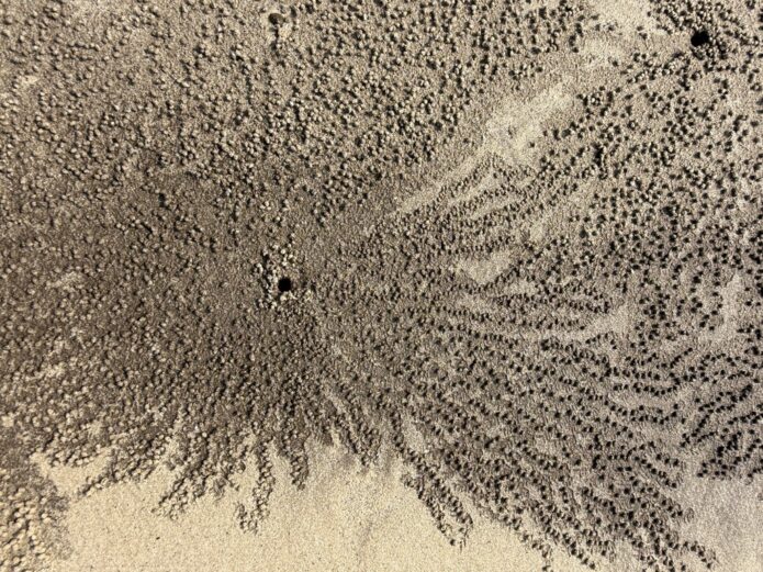 Abstract patterns in wet beach sand at Alibaug, Maharashtra, photographed from above.