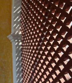 Every Country Is Adopting AI. Very Few Are Asking What Kind.